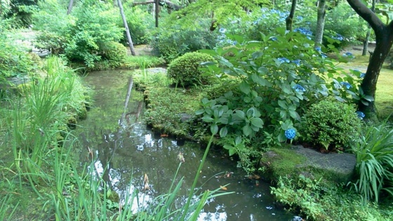 f:id:airgyan:20140708145548j:image f:id:airgyan:20140708145548j:image