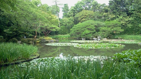 f:id:airgyan:20140708145549j:image f:id:airgyan:20140708145549j:image