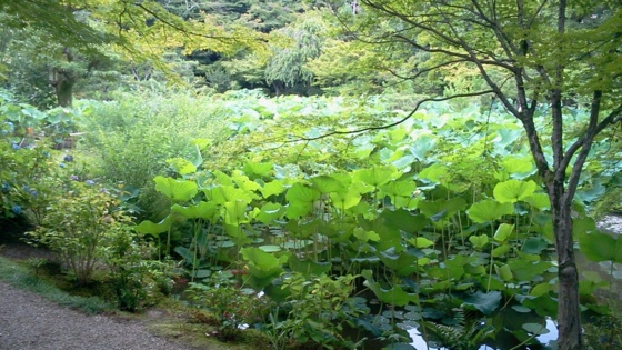 f:id:airgyan:20140708145643j:image f:id:airgyan:20140708145643j:image