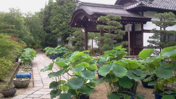 f:id:airgyan:20140708145647j:image f:id:airgyan:20140708145647j:image