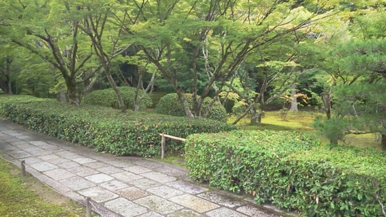 [Travel][Garden]