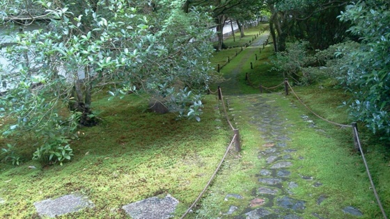 f:id:airgyan:20140708150347j:image f:id:airgyan:20140708150347j:image