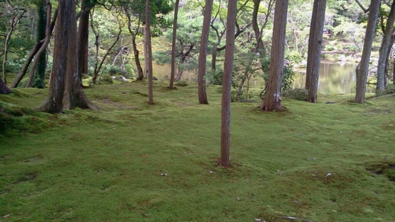 f:id:airgyan:20140708150353j:image f:id:airgyan:20140708150353j:image