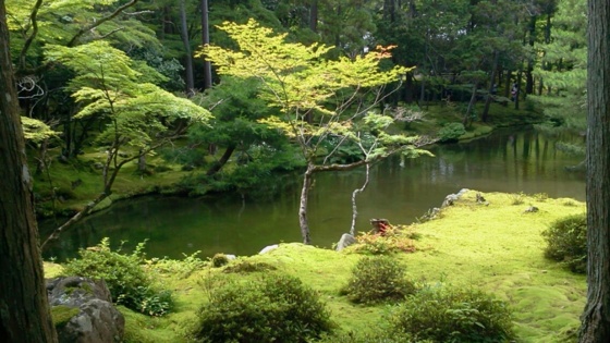 f:id:airgyan:20140708150354j:image f:id:airgyan:20140708150354j:image
