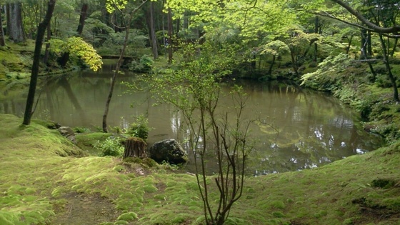 f:id:airgyan:20140708150401j:image f:id:airgyan:20140708150401j:image