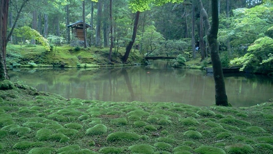 f:id:airgyan:20140708150402j:image f:id:airgyan:20140708150402j:image