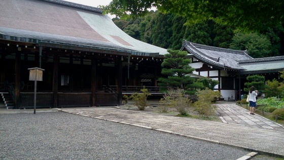 f:id:airgyan:20140708150409j:image f:id:airgyan:20140708150409j:image