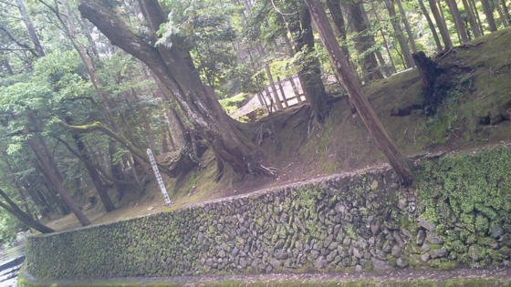 f:id:airgyan:20140708150412j:image f:id:airgyan:20140708150412j:image