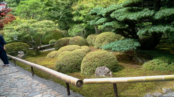 f:id:airgyan:20140708150414j:image f:id:airgyan:20140708150414j:image