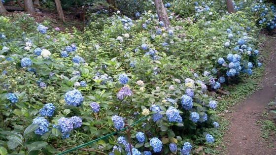 f:id:airgyan:20140708150426j:image f:id:airgyan:20140708150426j:image