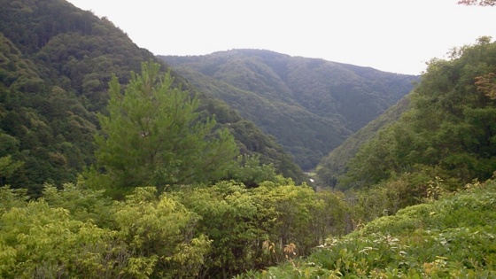 f:id:airgyan:20140708150439j:image f:id:airgyan:20140708150439j:image