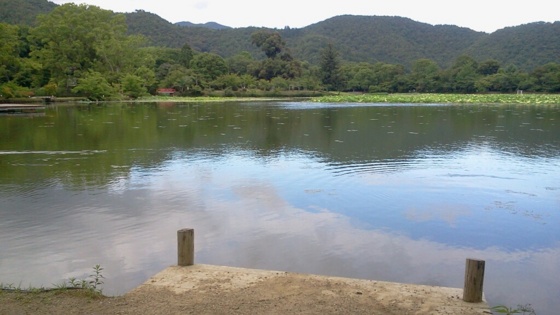 f:id:airgyan:20140708150442j:image f:id:airgyan:20140708150442j:image