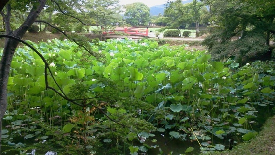 f:id:airgyan:20140708150443j:image f:id:airgyan:20140708150443j:image