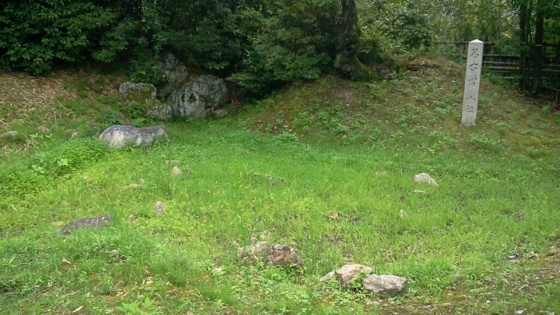 f:id:airgyan:20140708150444j:image f:id:airgyan:20140708150444j:image