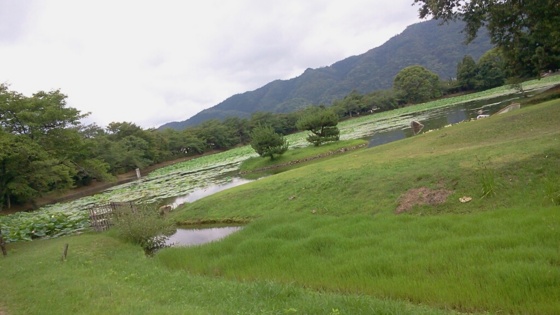 f:id:airgyan:20140708150445j:image f:id:airgyan:20140708150445j:image