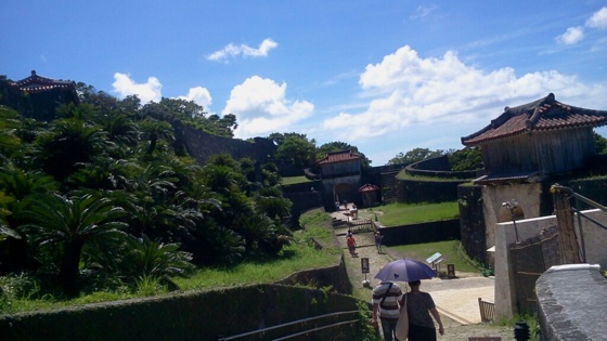 f:id:airgyan:20140708152051j:image f:id:airgyan:20140708152051j:image