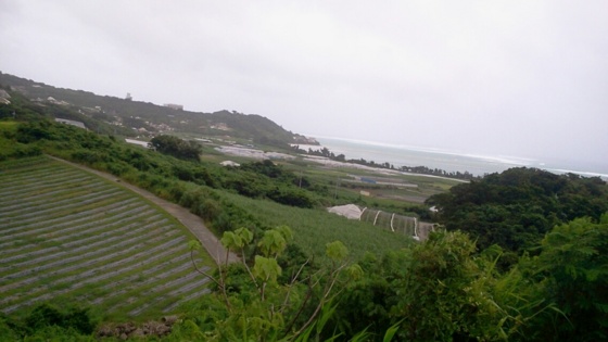 f:id:airgyan:20140708152616j:image f:id:airgyan:20140708152616j:image