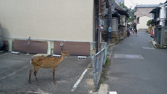 f:id:airgyan:20140820160802j:image f:id:airgyan:20140820160802j:image