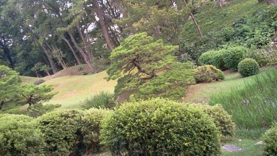 f:id:airgyan:20140820160827j:image f:id:airgyan:20140820160827j:image