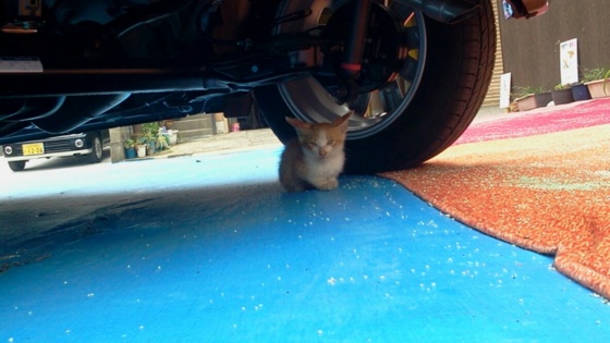 f:id:airgyan:20140820161014j:image f:id:airgyan:20140820161014j:image