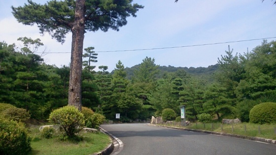 f:id:airgyan:20140820161037j:image f:id:airgyan:20140820161037j:image