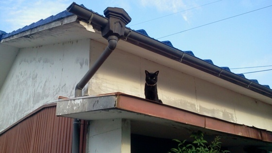 f:id:airgyan:20140820161106j:image f:id:airgyan:20140820161106j:image