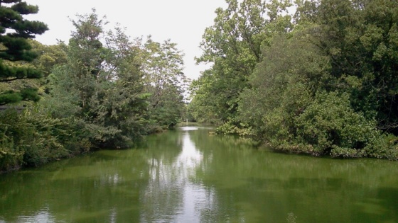 f:id:airgyan:20140911155550j:image