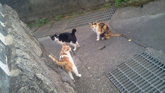 f:id:airgyan:20140916175140j:image f:id:airgyan:20140916175140j:image