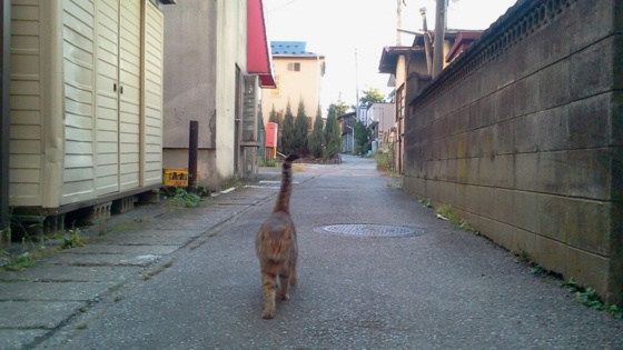 f:id:airgyan:20140927112532j:image f:id:airgyan:20140927112532j:image