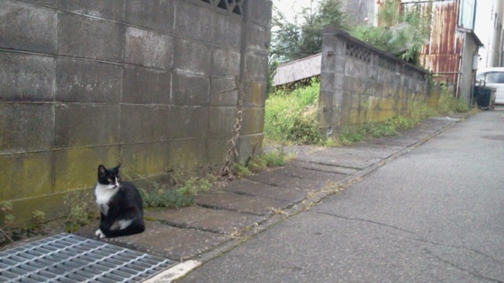 f:id:airgyan:20140927112539j:image f:id:airgyan:20140927112539j:image
