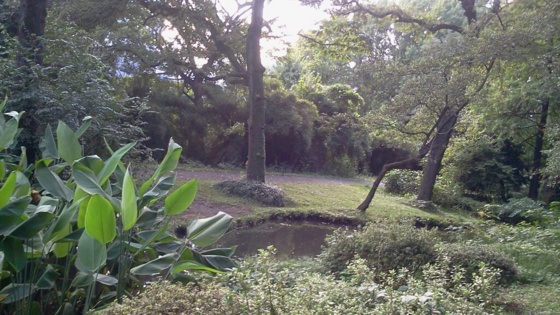 f:id:airgyan:20141008200135j:image f:id:airgyan:20141008200135j:image