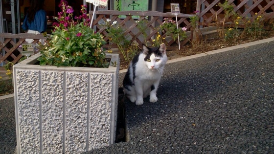 f:id:airgyan:20141008200323j:image