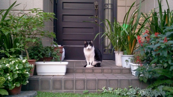 f:id:airgyan:20141008200328j:image