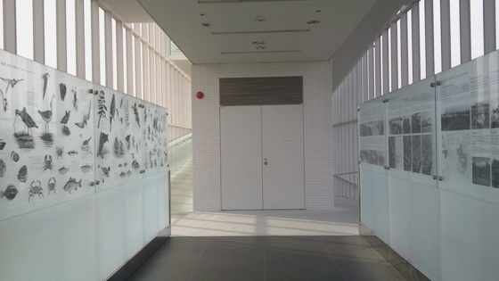 f:id:airgyan:20141013124405j:image