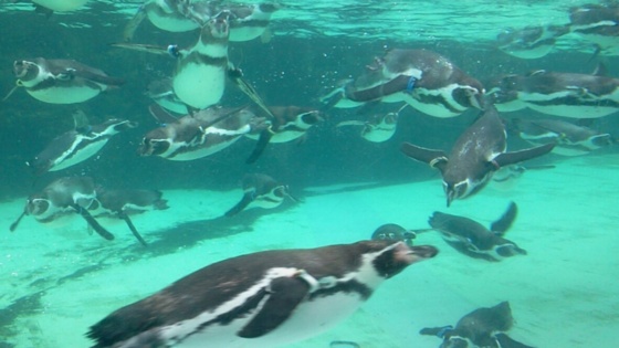 f:id:airgyan:20141013124409j:image