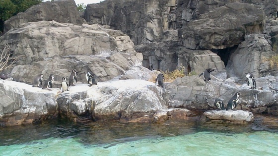 f:id:airgyan:20141013124413j:image