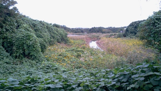 f:id:airgyan:20141013124422j:image