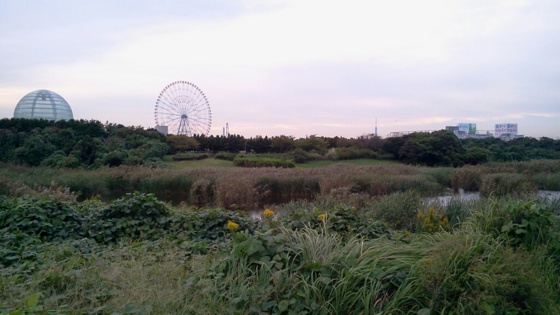 f:id:airgyan:20141013124423j:image