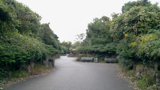 f:id:airgyan:20141013124424j:image