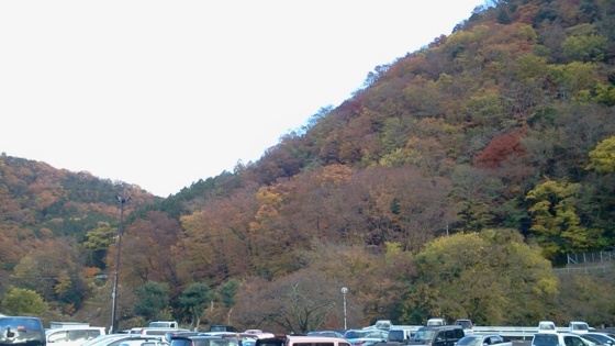f:id:airgyan:20141130220513j:image f:id:airgyan:20141130220513j:image