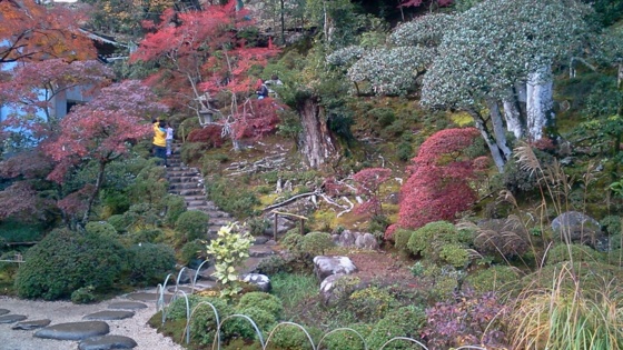 [浜松静岡][Garden]