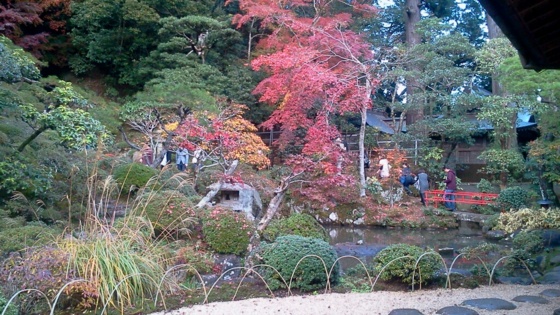 [浜松静岡][Garden]