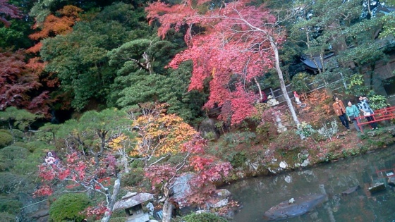 [浜松静岡][Garden]