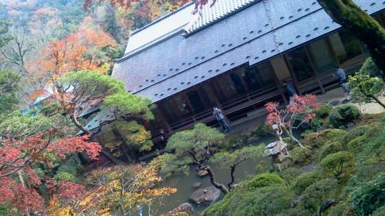 f:id:airgyan:20141201011946j:image