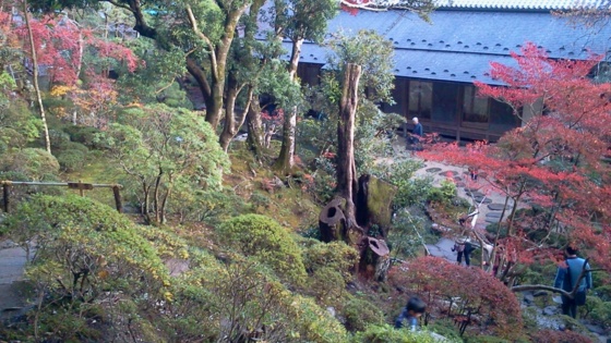f:id:airgyan:20141201011947j:image f:id:airgyan:20141201011947j:image