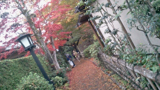 f:id:airgyan:20141201012237j:image f:id:airgyan:20141201012237j:image