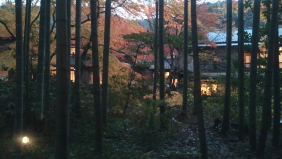 f:id:airgyan:20141201012240j:image f:id:airgyan:20141201012240j:image