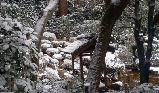 [Travel][Garden][雪]