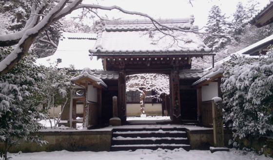 [Travel][Garden][雪]