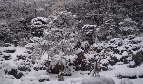 [Travel][Garden][雪]